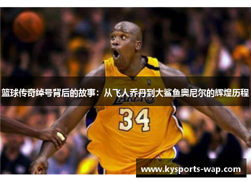 篮球传奇绰号背后的故事：从飞人乔丹到大鲨鱼奥尼尔的辉煌历程